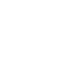 reale (1)